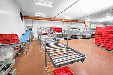 DLWA 1200-3T/2+ PAL BS4H industrial washing system for cleaning and drying Euro-standard containers and H1 plastic pallets | Mohn GmbH