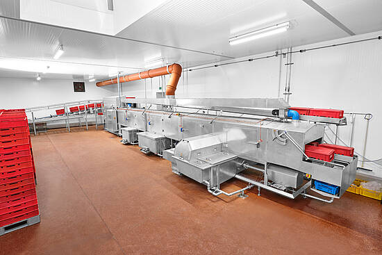 Industrial washing system in poultry meat processing