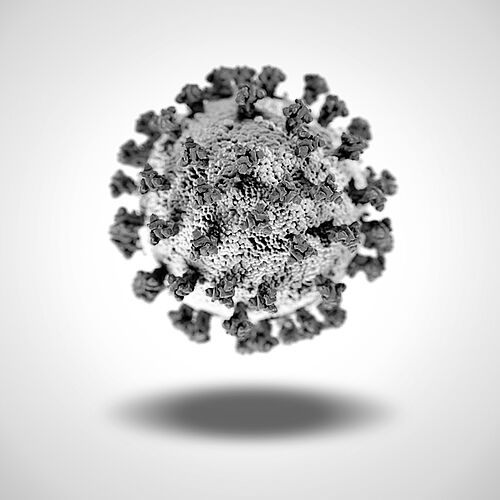 Coronavirus (SARS-CoV-2)