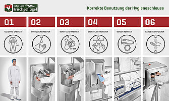 Hygienekonzept - Grafikboard "Celler Land" 