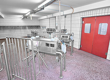 Personnel hygiene station in slaughterhouse and cutting plant for pigs (meat products industry) | Mohn GmbH