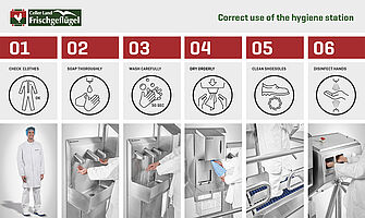Correct use of the hygiene station - Grafic board "Celler Land" 
