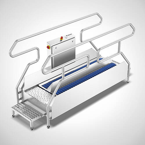 <h6 class="mb-0">Durchlauf-Sohlenreinigung </h6><span>Typ Sole-Star Highline</span>