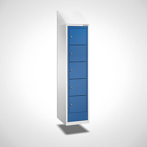 Wandhängender Wäsche-Ausgabeschrank Typ WAS-WH-ST-EU-1-5 (5 Fächer), Art.-Nr. 45.00.07.50 