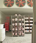 kebap-tranport rack in shock deep-freezers 