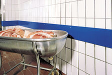 Skirting protection profiles for meat industry 